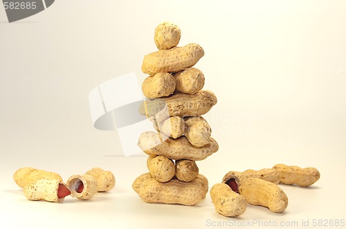 Image of many nuts