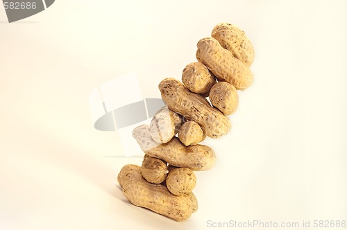 Image of many nuts 
