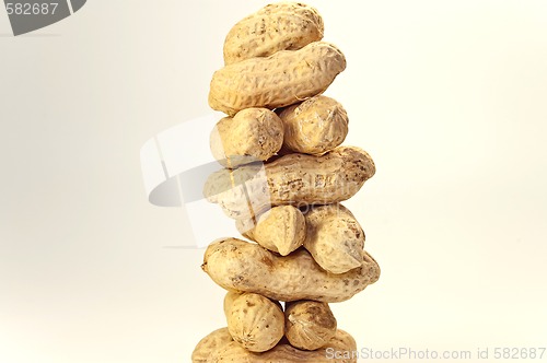 Image of nuts