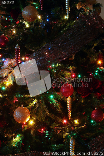 Image of Christmas tree...