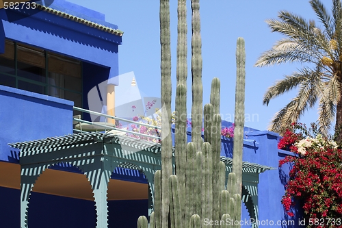 Image of Majorelle Gardens in Marrakesh