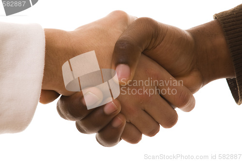 Image of multirracial handshake