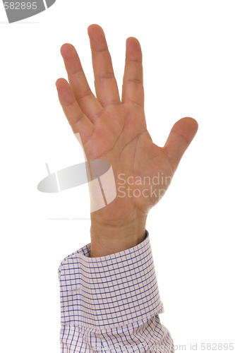 Image of Hand