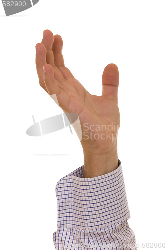 Image of Hand