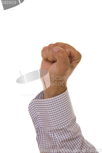 Image of The fist
