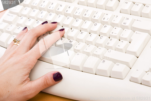 Image of hand typing in a keyboard
