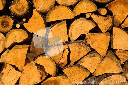 Image of Wood