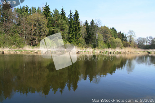 Image of At the spring