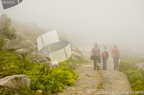 Image of Hiking In The Fog