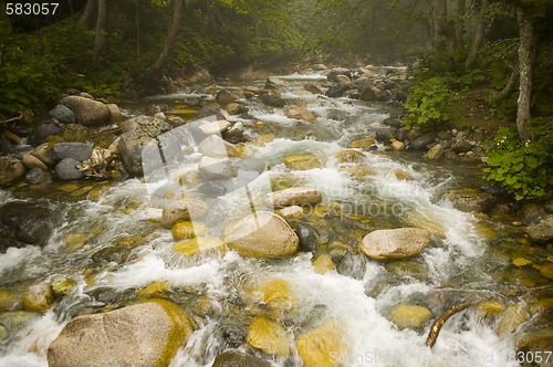 Image of Stream