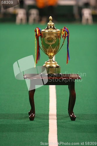 Image of Trophy