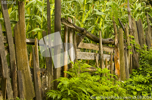 Image of Fence