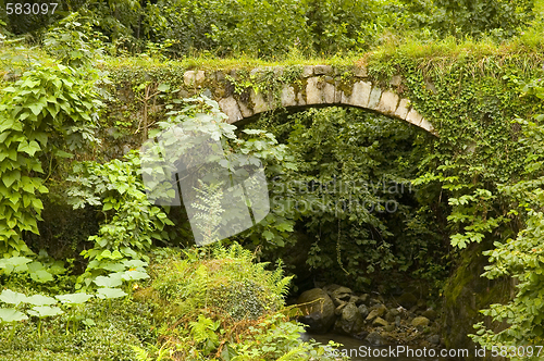 Image of Old Bridge