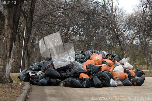 Image of Yard Waste Drop Off Site