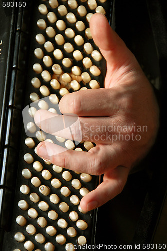 Image of Musician hand playing accordion