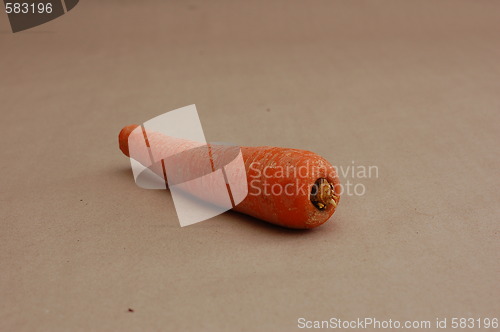 Image of Carrot