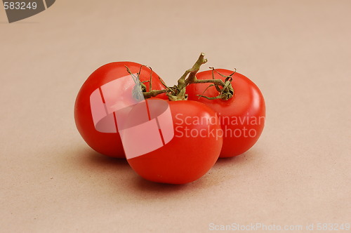 Image of Tomato triplet.