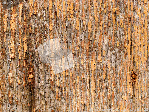 Image of old grungy wood background texture