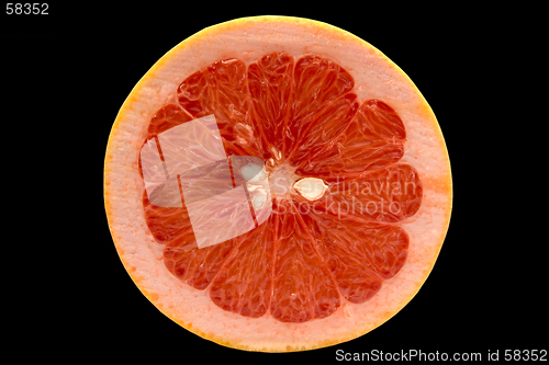 Image of Grapefruit isolated on black background with clipping path