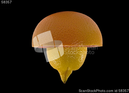 Image of Halfs of grapefruit and lemon isolated on black bacgroung with c