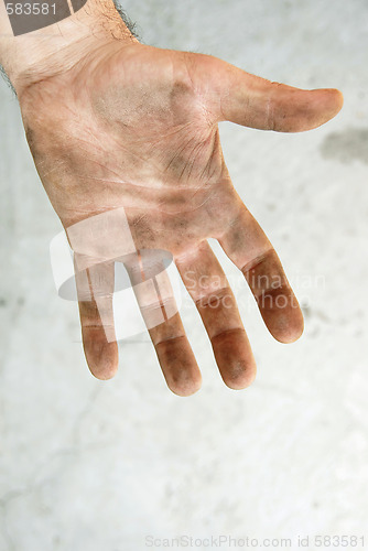 Image of Dirty palm