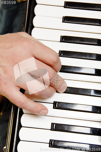 Image of Musician hand playing accordion