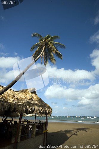 Image of ocean front beach thatched roof restaurant nicaragua