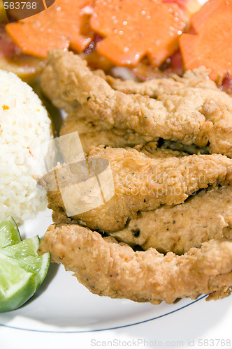 Image of filet of fish breaded nicaragua