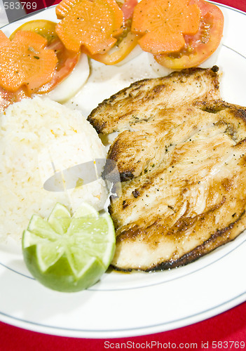 Image of grilled chicken filet central america