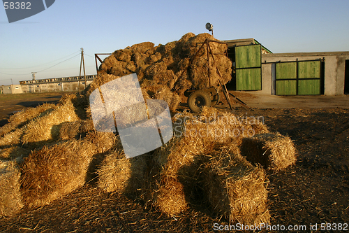 Image of straw bales