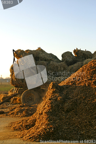 Image of straw bales on trailer in farm yard