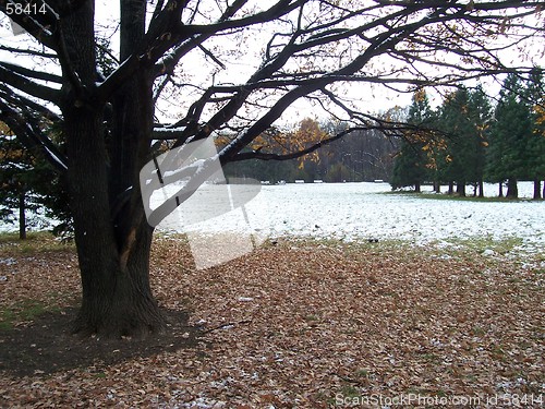 Image of Winter is comming