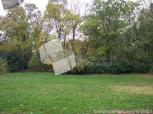Image of Park