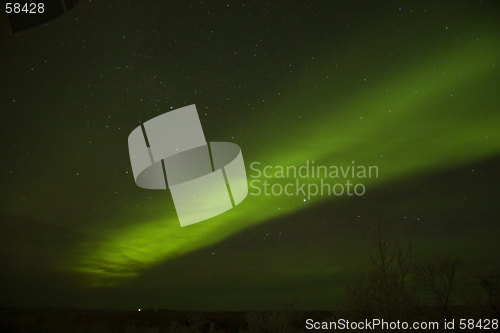 Image of Growing from the cloud, northern lights