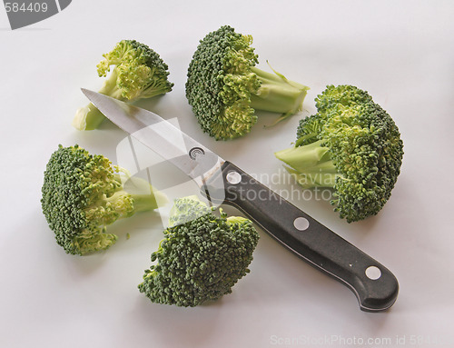 Image of Freshly cut broccoli.