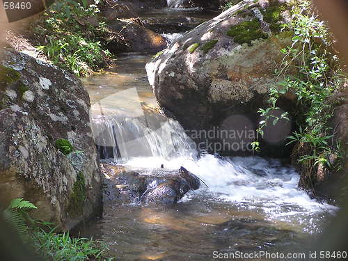 Image of Rainforest stream