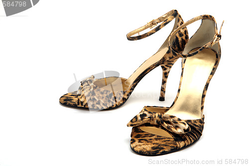 Image of Elegant woman shoes isolated on the white background