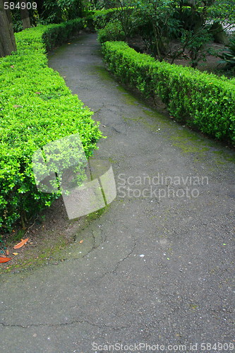 Image of Road In A Garden