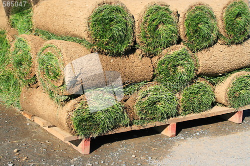 Image of Rolls Of Sod