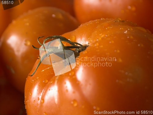 Image of wet tomatoe#2