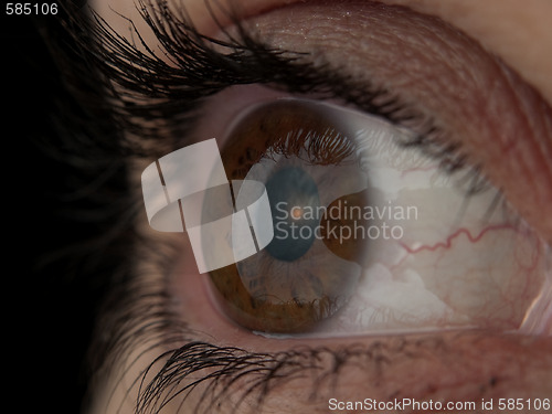 Image of Human Eye Macro