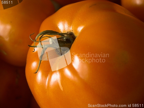 Image of tomato