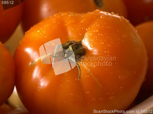 Image of wet tomatoe