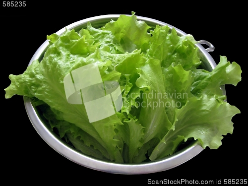 Image of fresh salad