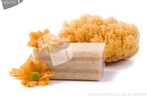 Image of natural sponge, soap and flowers