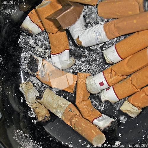 Image of Cigarette butts.