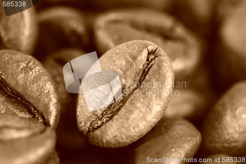 Image of Fragrant fried coffee beans 