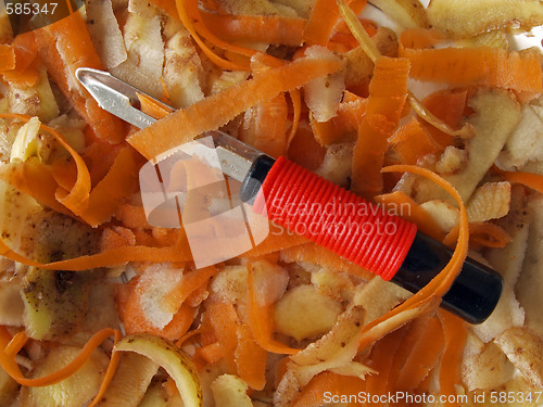 Image of Vegetable scraper and peelings.