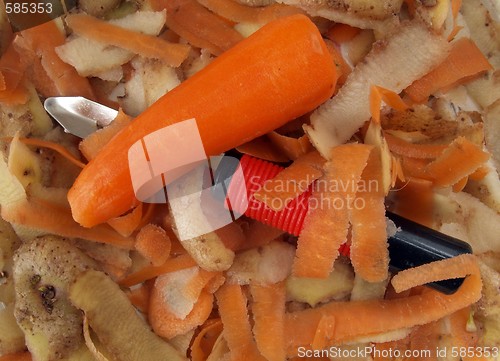 Image of Vegetable scraper and peelings.