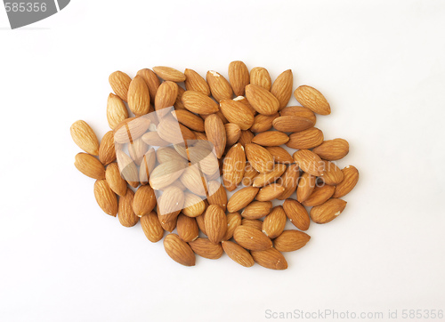 Image of        Almond nuts.       